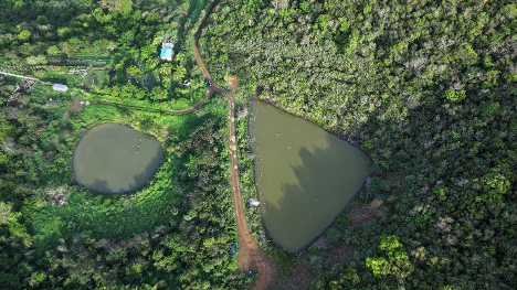 Los estanques llenos están rodeados de bosque verde y vegetación en una foto aérea de St. Thomas.