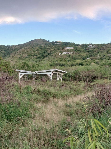Una combinación de vegetación verde emerge junto a vegetación marrón cerca de un pabellón en Lang's Peak, St. Croix.